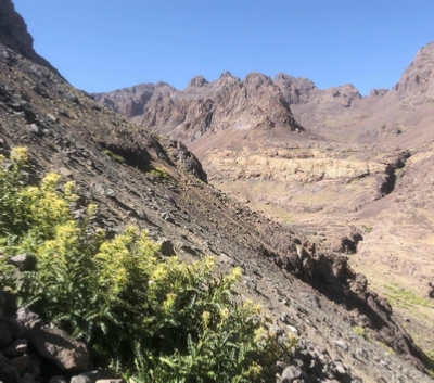 Atlas Trekking Morocco