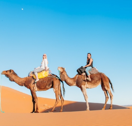 Combined Atlas and Sahara Tour