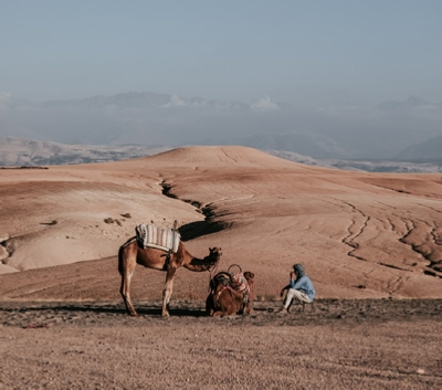 Marrakech Day Trip