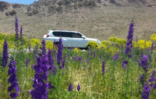 Morocco Private Tour Transfers